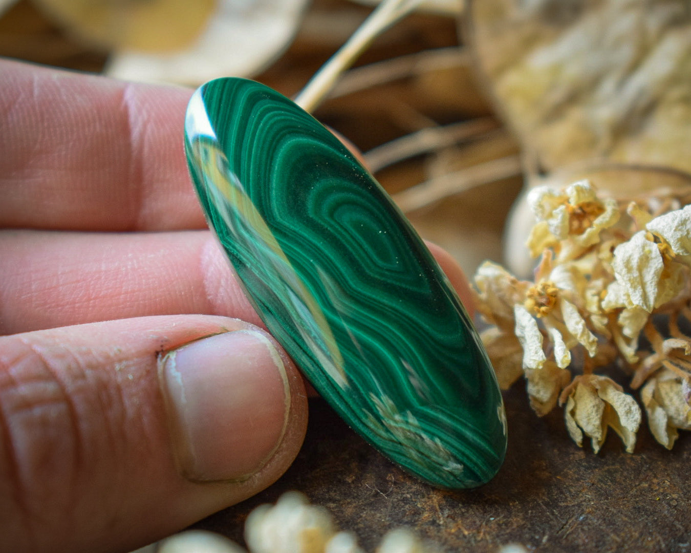 Cabochon Malachite — Congo