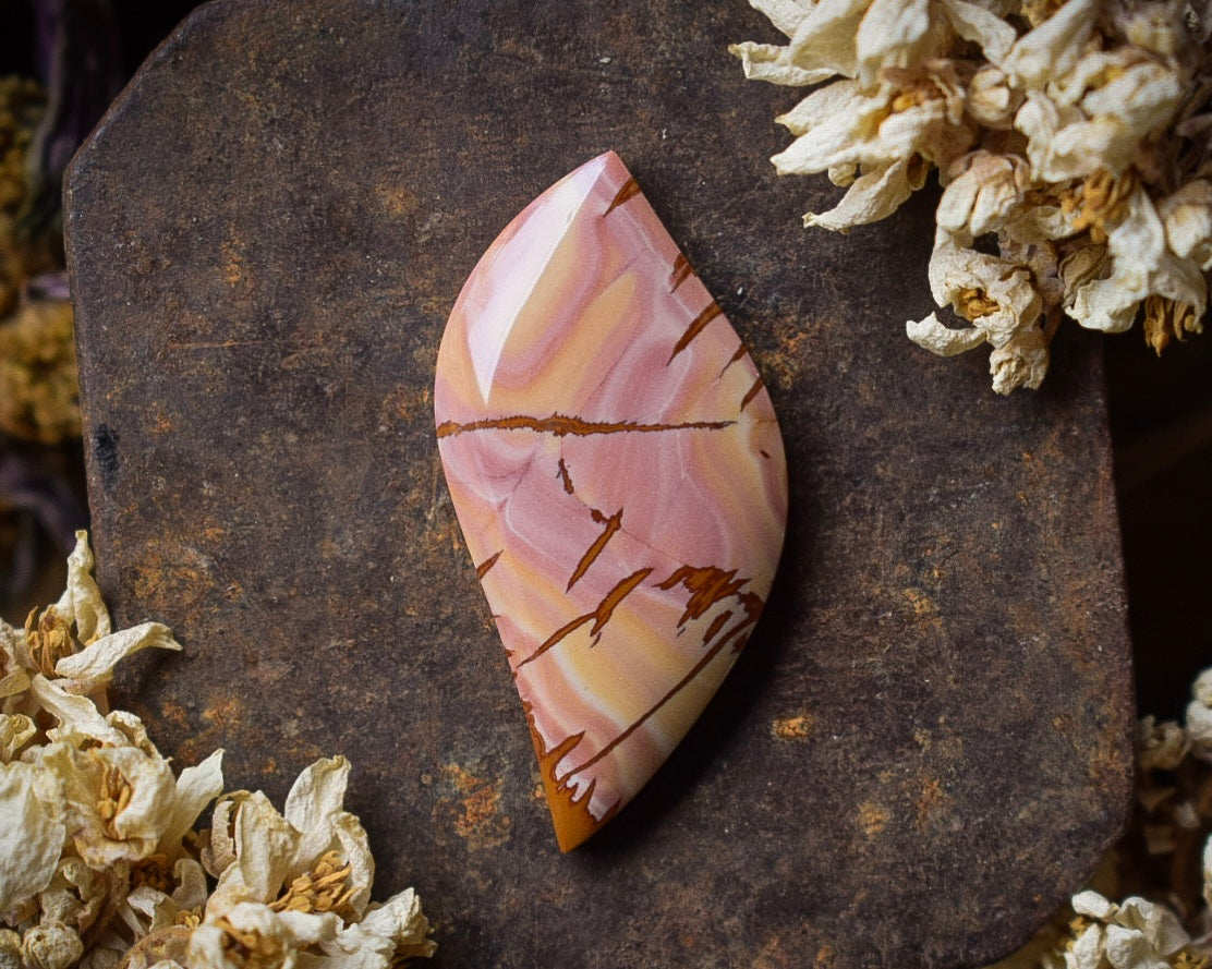 Jaspe Red Falcon — Nevada