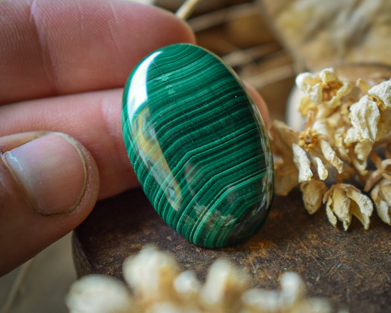 Cabochon Malachite — Afrique du Sud