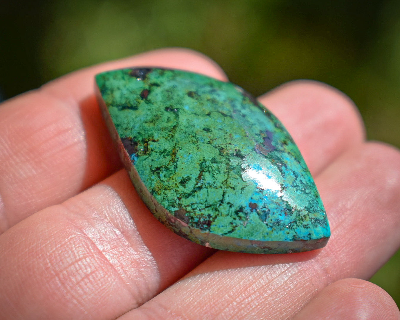Cabochon Chrysocolle - Afrique du Sud