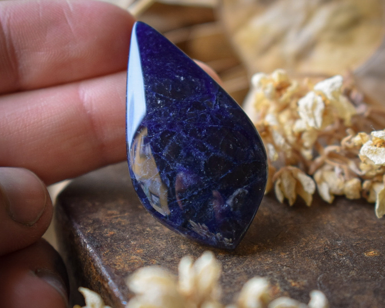 Cabochon Sodalite Irisée — Brésil