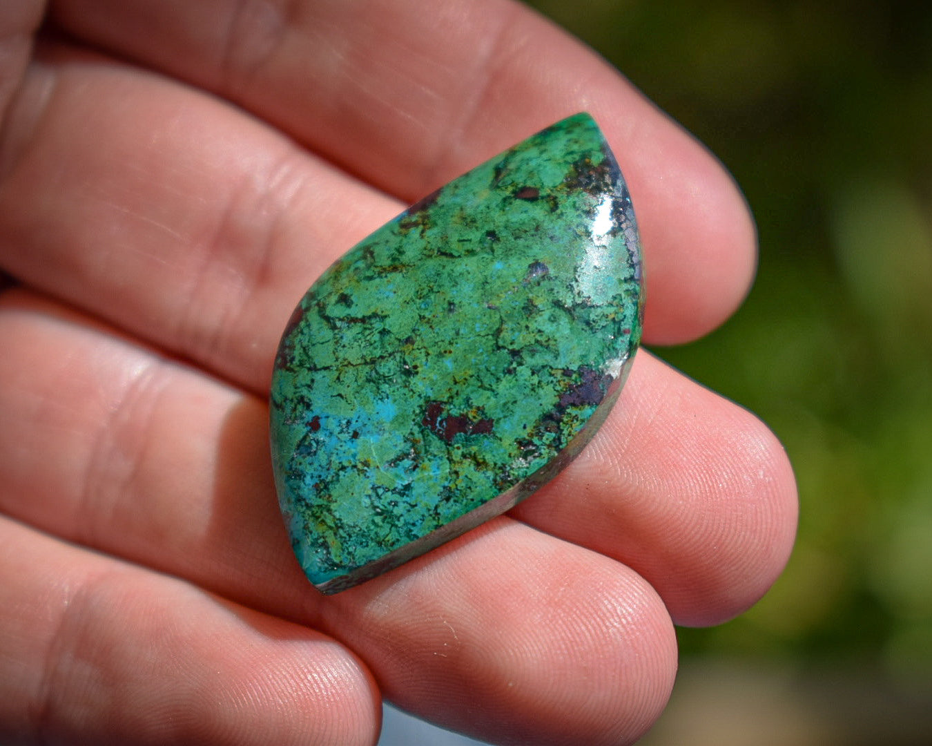 Cabochon Chrysocolle - Afrique du Sud