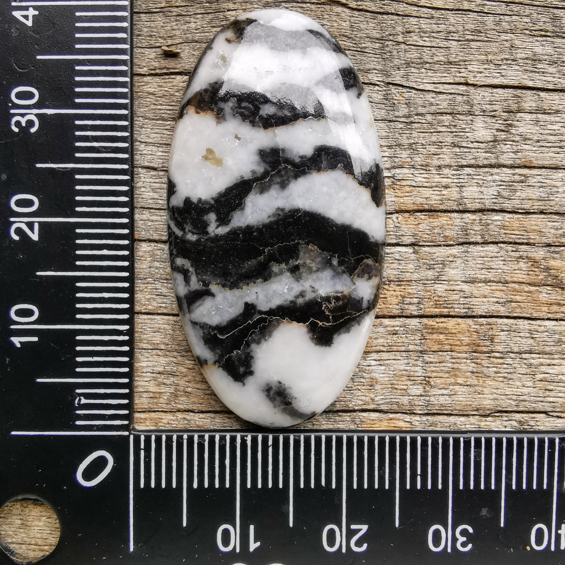 Cabochon Jaspe Zebre