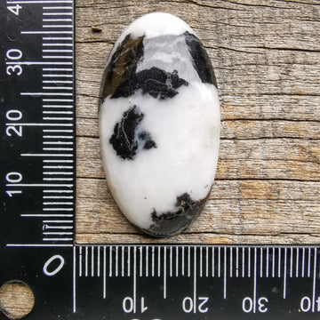 Cabochon Jaspe Zebre