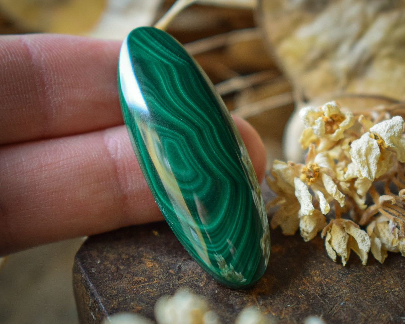 Cabochon Malachite — Congo