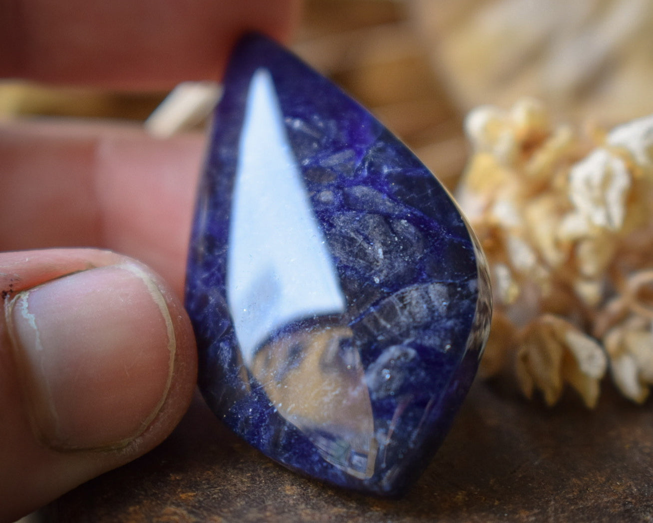 Cabochon Sodalite Irisée — Brésil