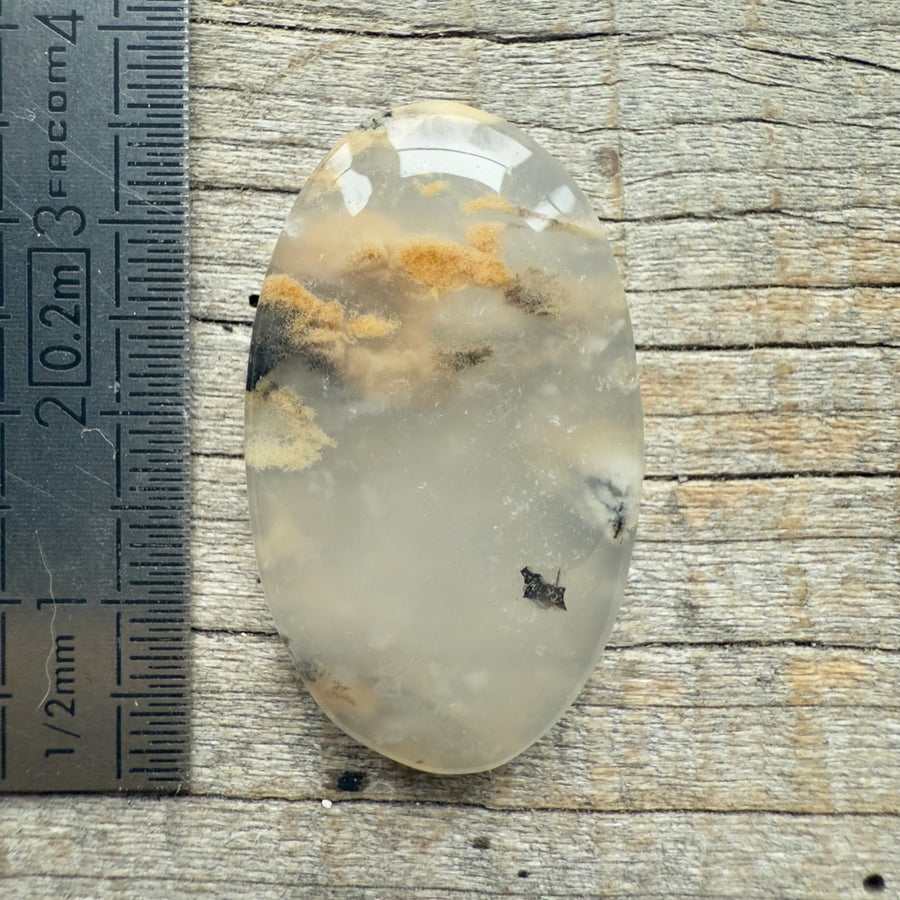 Cabochon Agate Dendrite Tigre