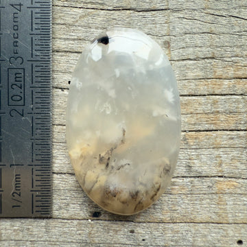 Cabochon Agate Dendrite Tigre