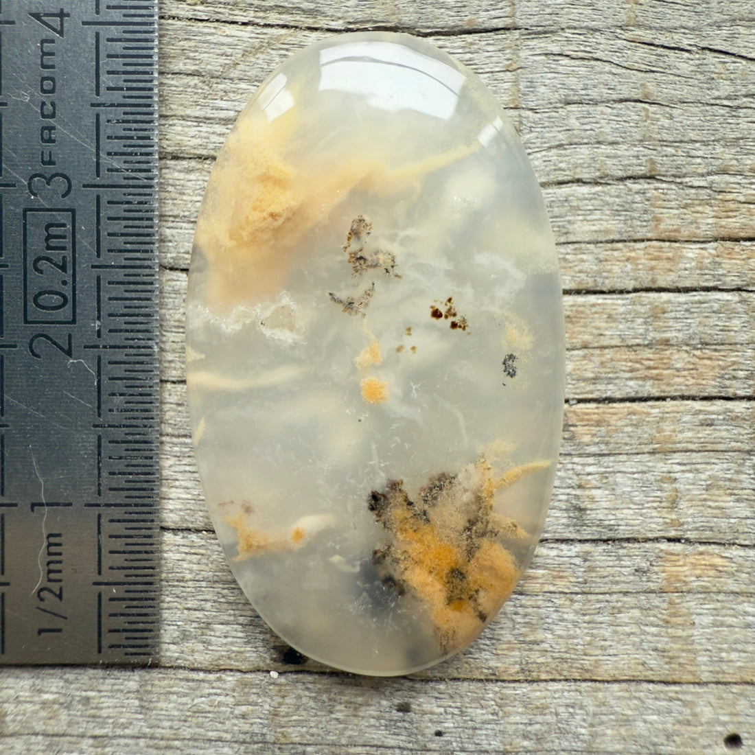 Cabochon Agate Dendrite Tigre