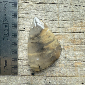 Cabochon Agate Dendrite Tigre