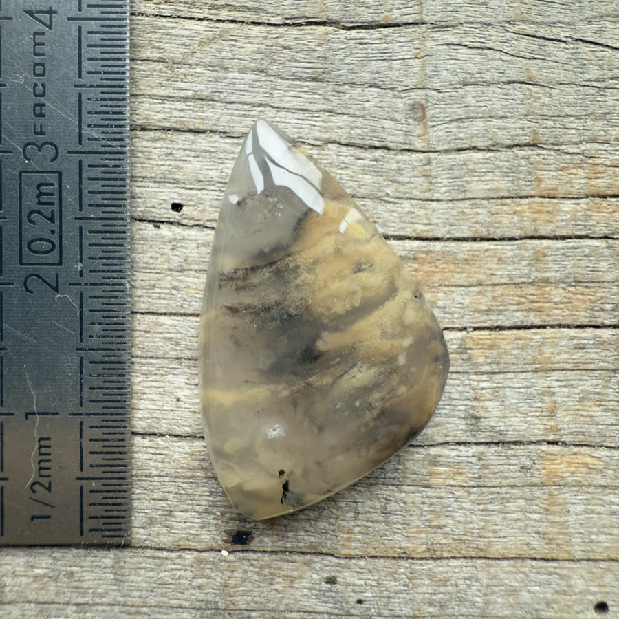 Cabochon Agate Dendrite Tigre