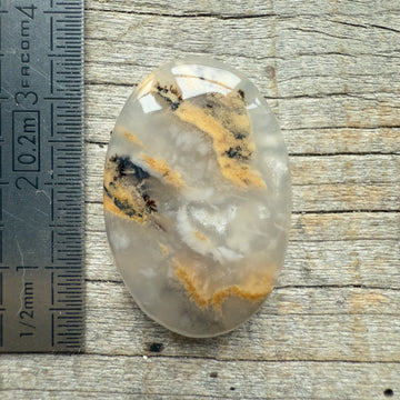 Cabochon Agate Dendrite Tigre