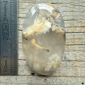 Cabochon Agate Dendrite Tigre