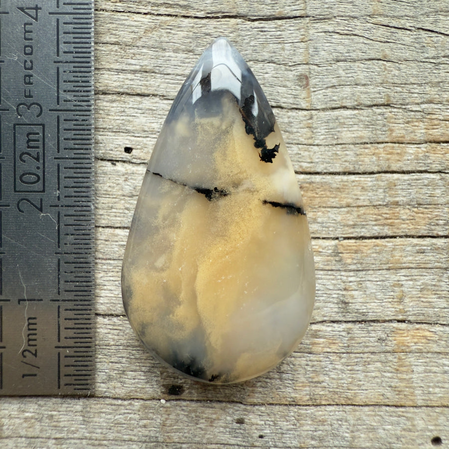 Cabochon Agate Dendrite Tigre