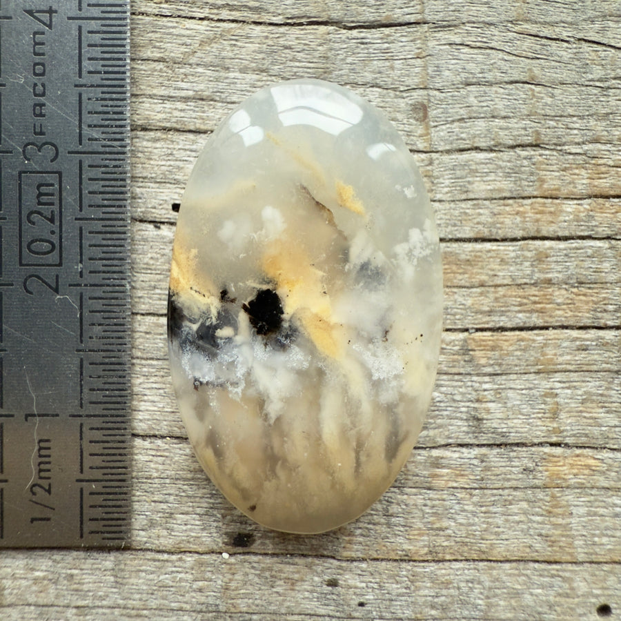 Cabochon Agate Dendrite Tigre