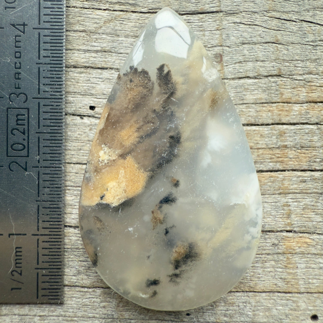 Cabochon Agate Dendrite Tigre