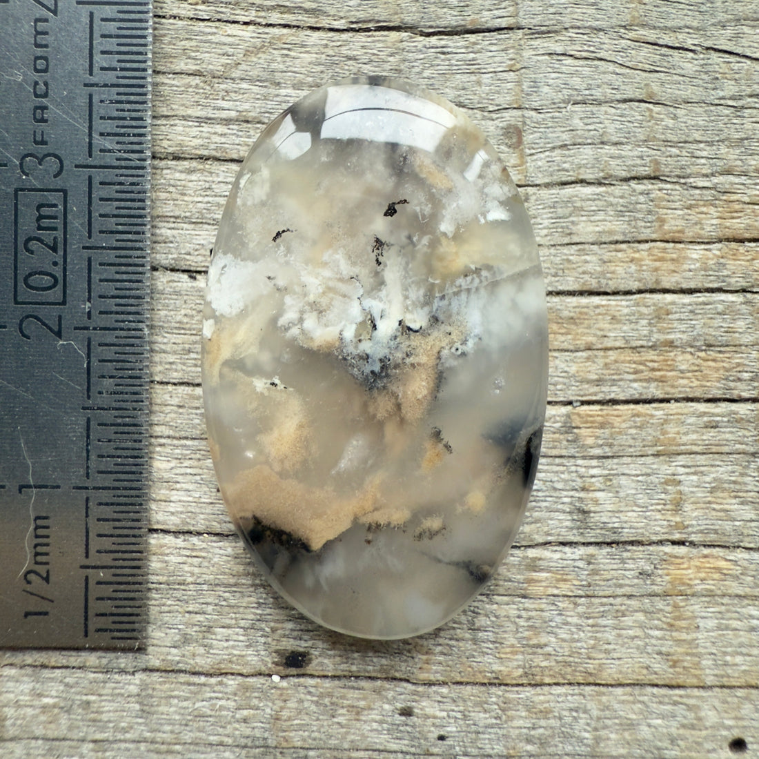 Cabochon Agate Dendrite Tigre