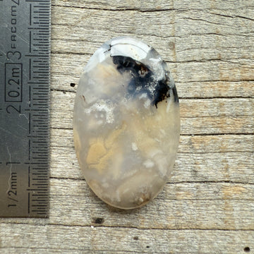 Cabochon Agate Dendrite Tigre