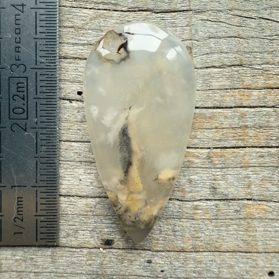 Cabochon Agate Dendrite Tigre