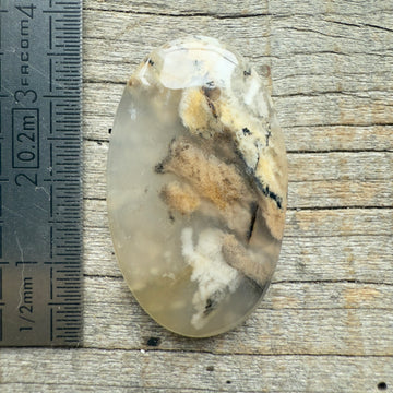 Cabochon Agate Dendrite Tigre