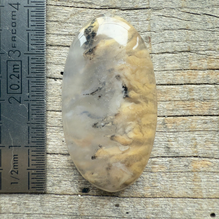 Cabochon Agate Dendrite Tigre