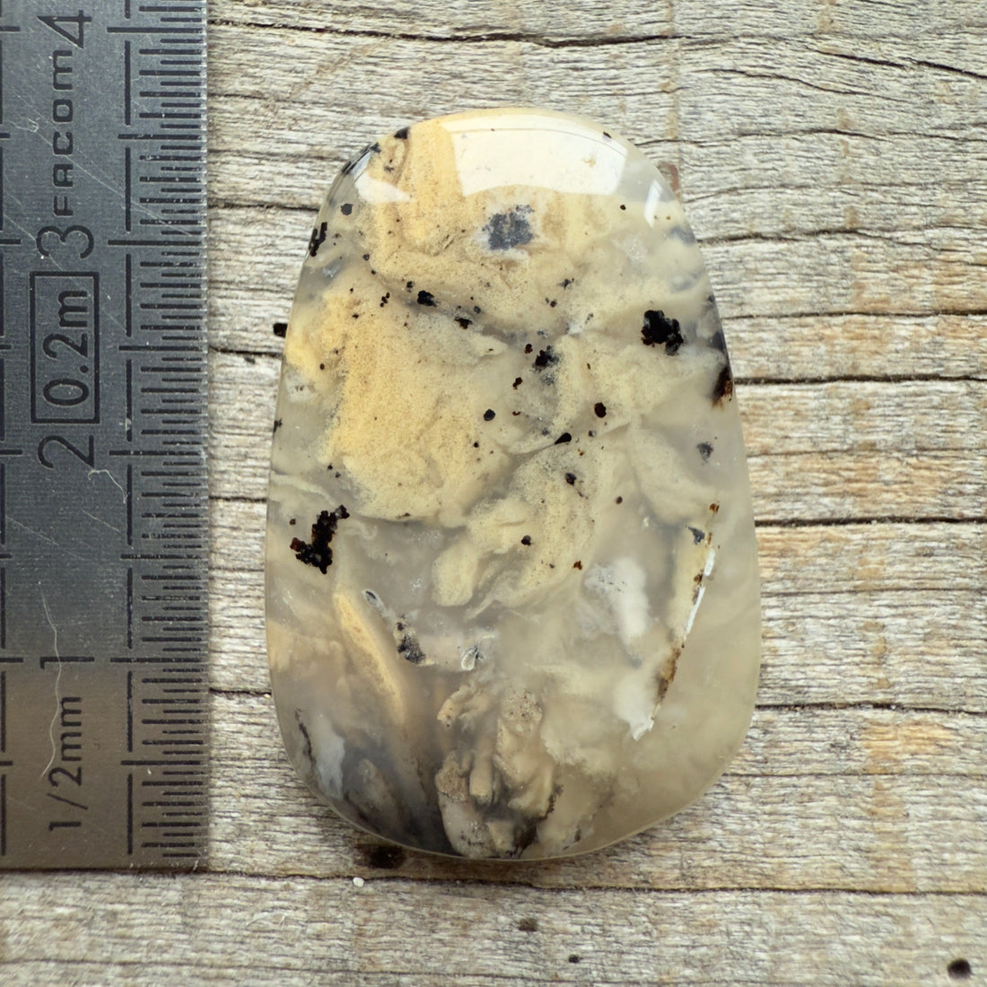 Cabochon Agate Dendrite Tigre