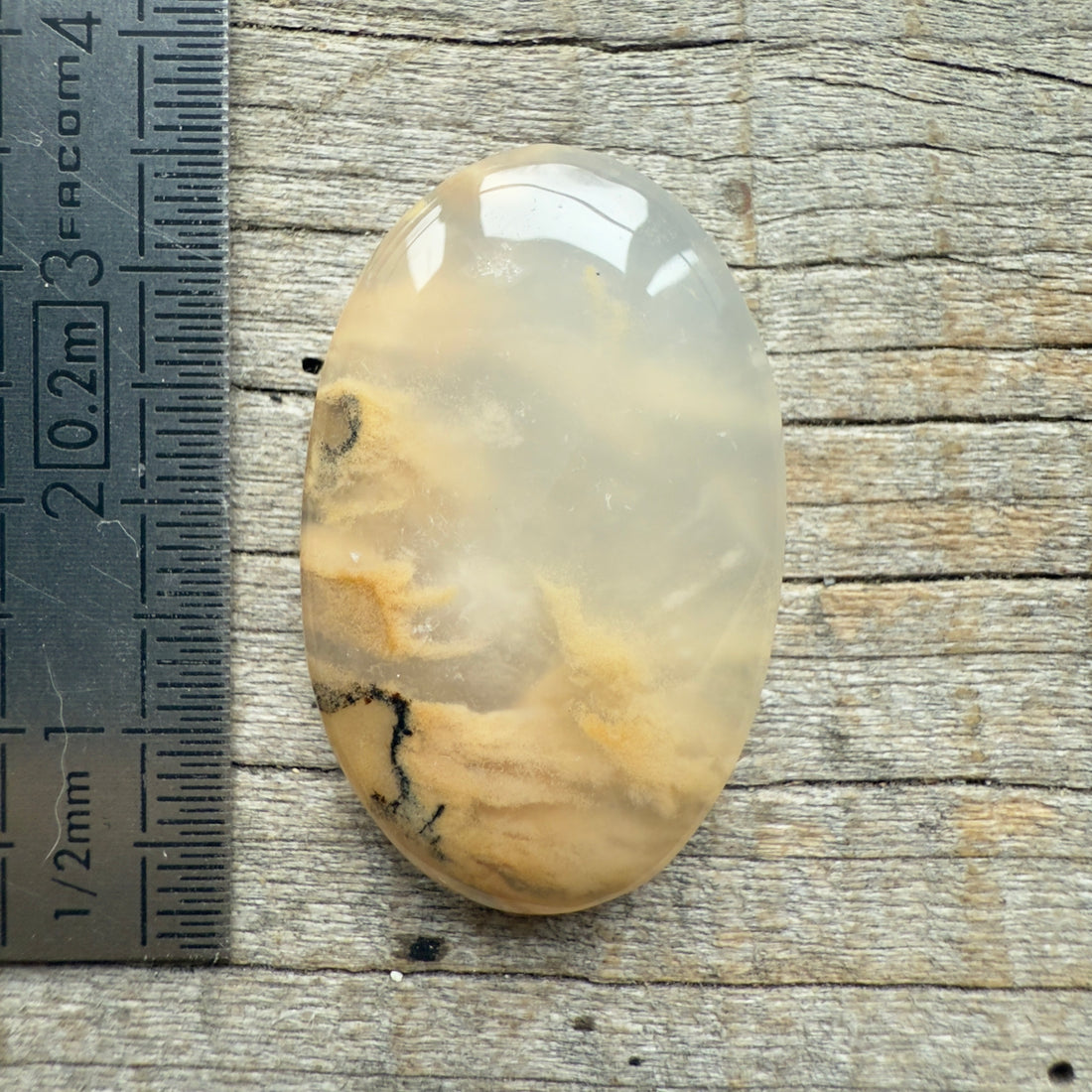 Cabochon Agate Dendrite Tigre