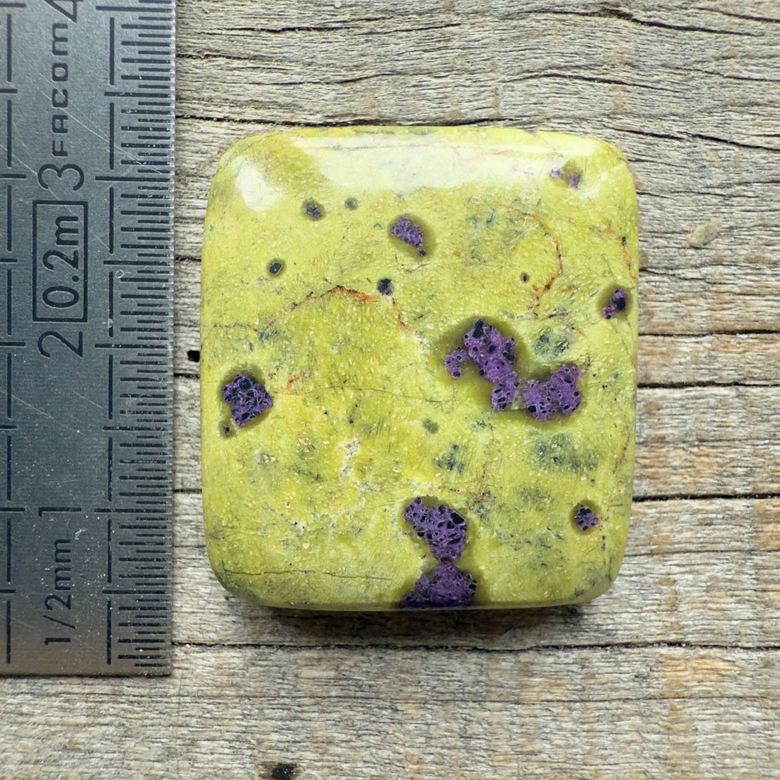 Cabochon Atlantisite