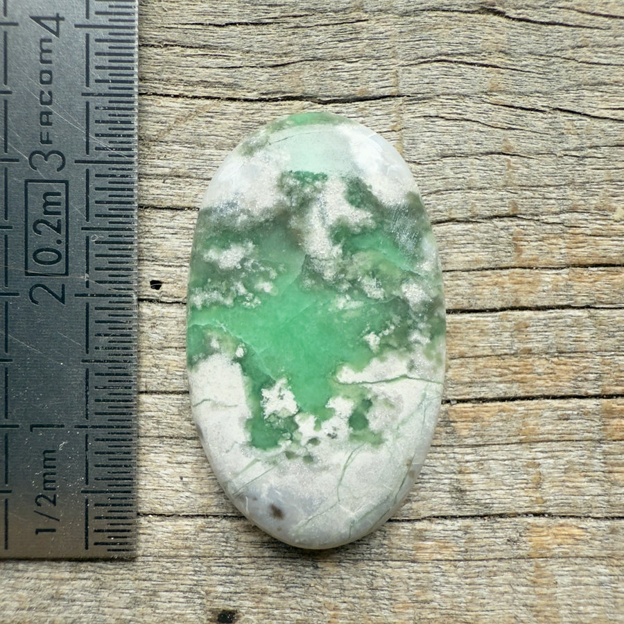 Cabochon Variscite