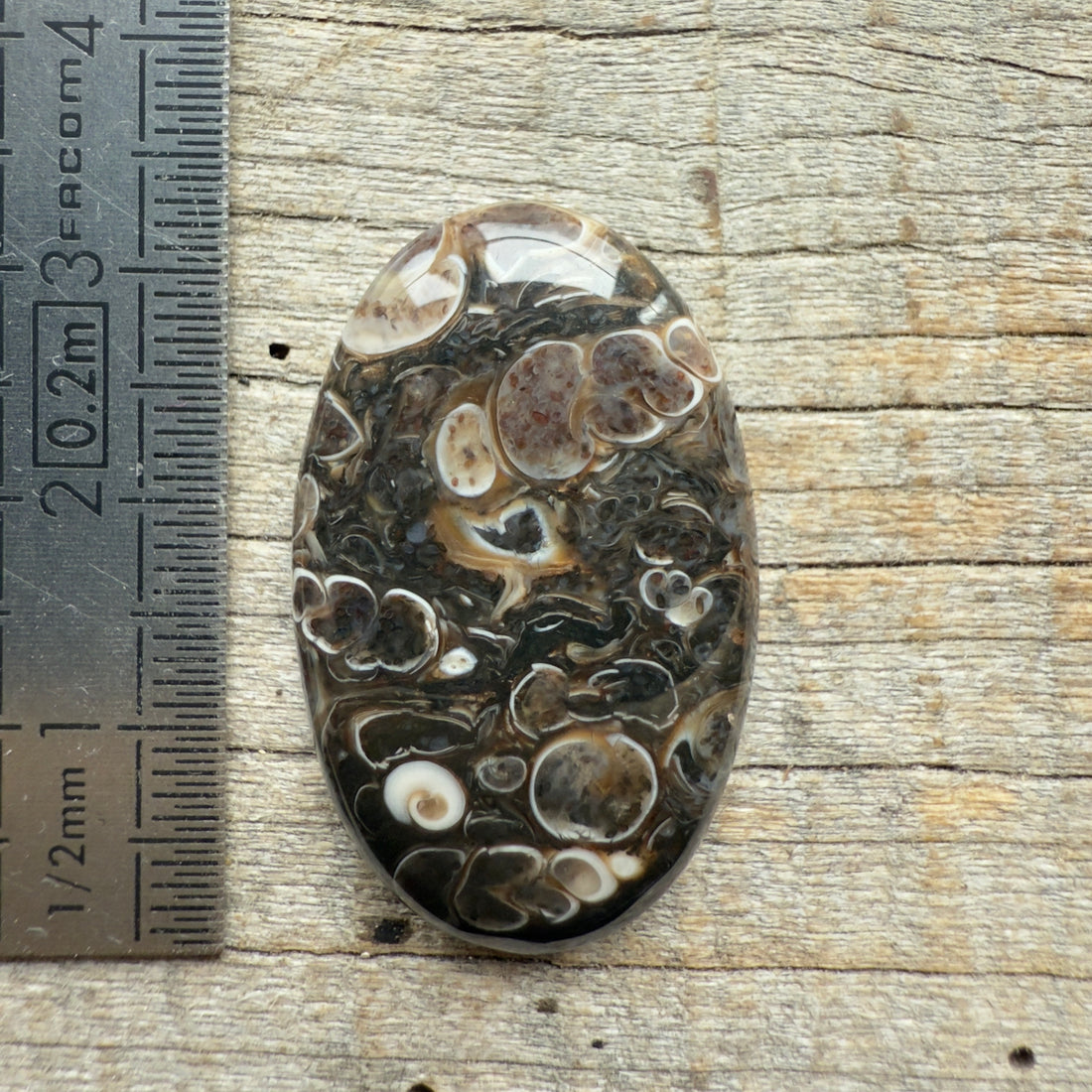 Cabochon Agate Turitelle