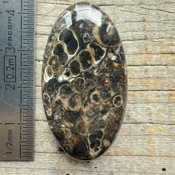 Cabochon Agate Turitelle