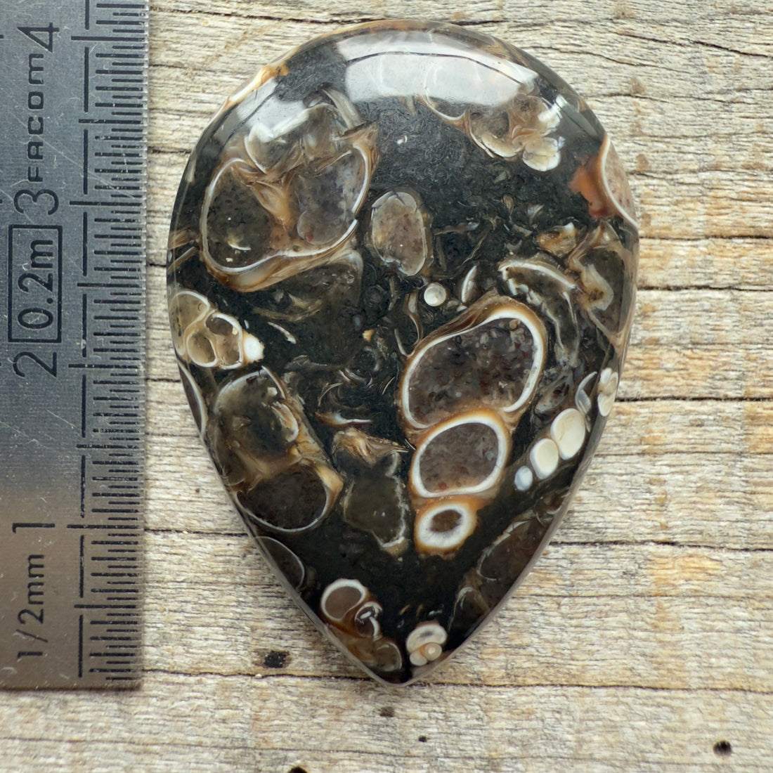 Cabochon Agate Turitelle