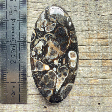 Cabochon Agate Turitelle