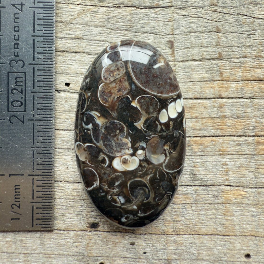 Cabochon Agate Turitelle