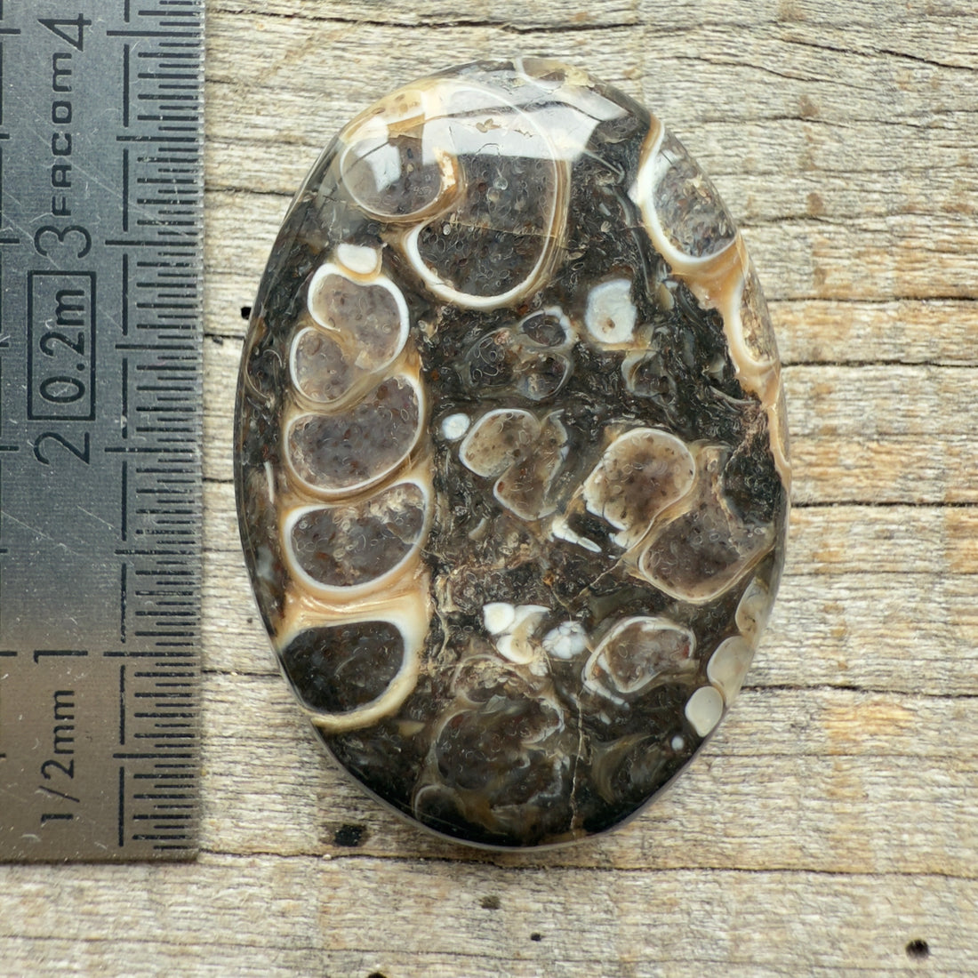 Cabochon Agate Turitelle