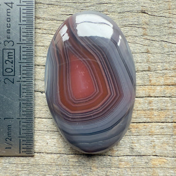 Cabochon Agate Botswana