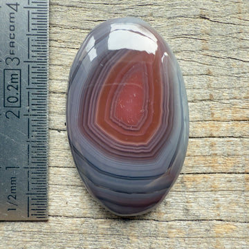 Cabochon Agate Botswana