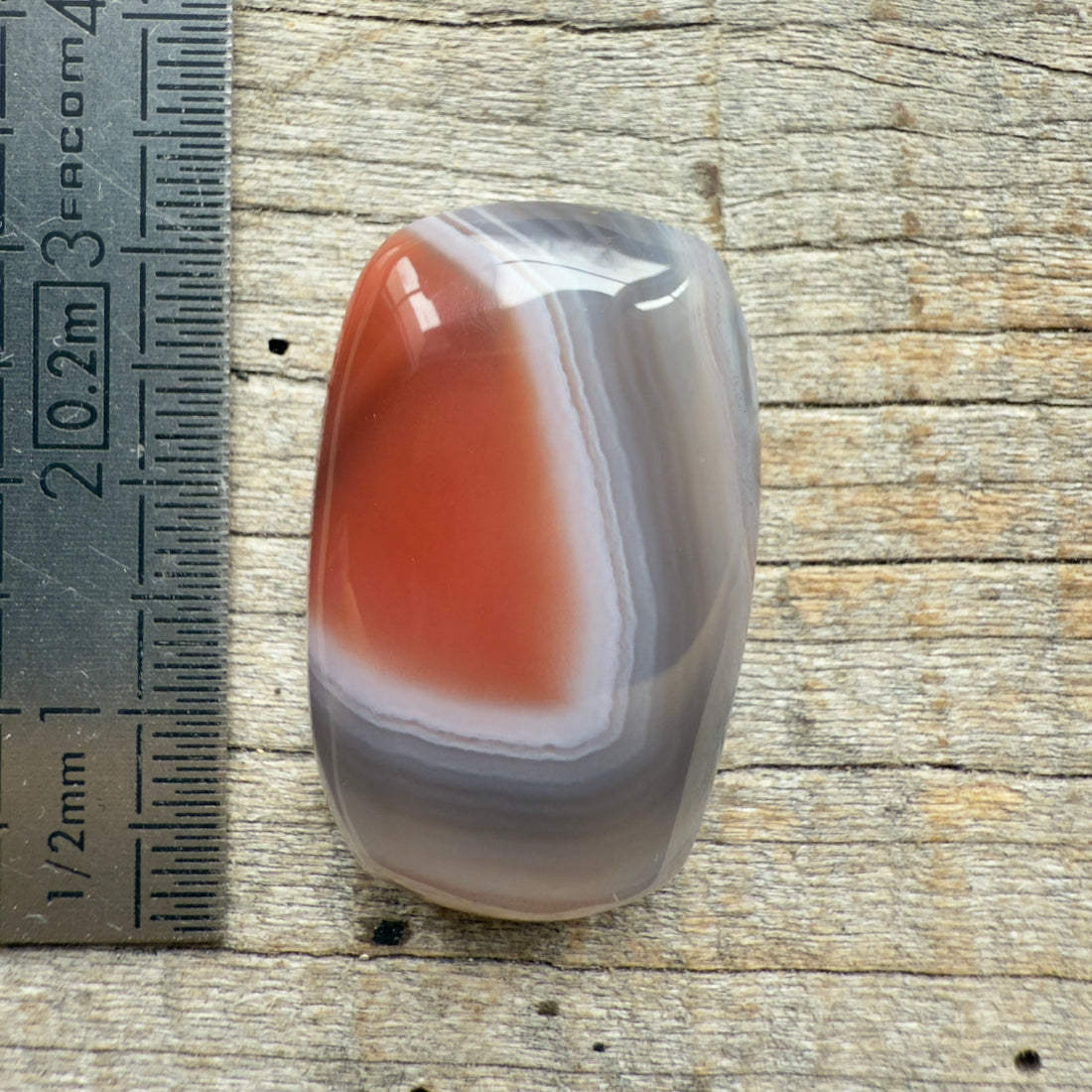 Cabochon Agate Botswana