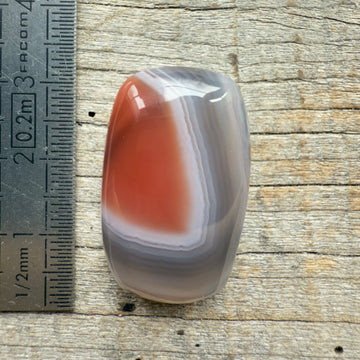 Cabochon Agate Botswana