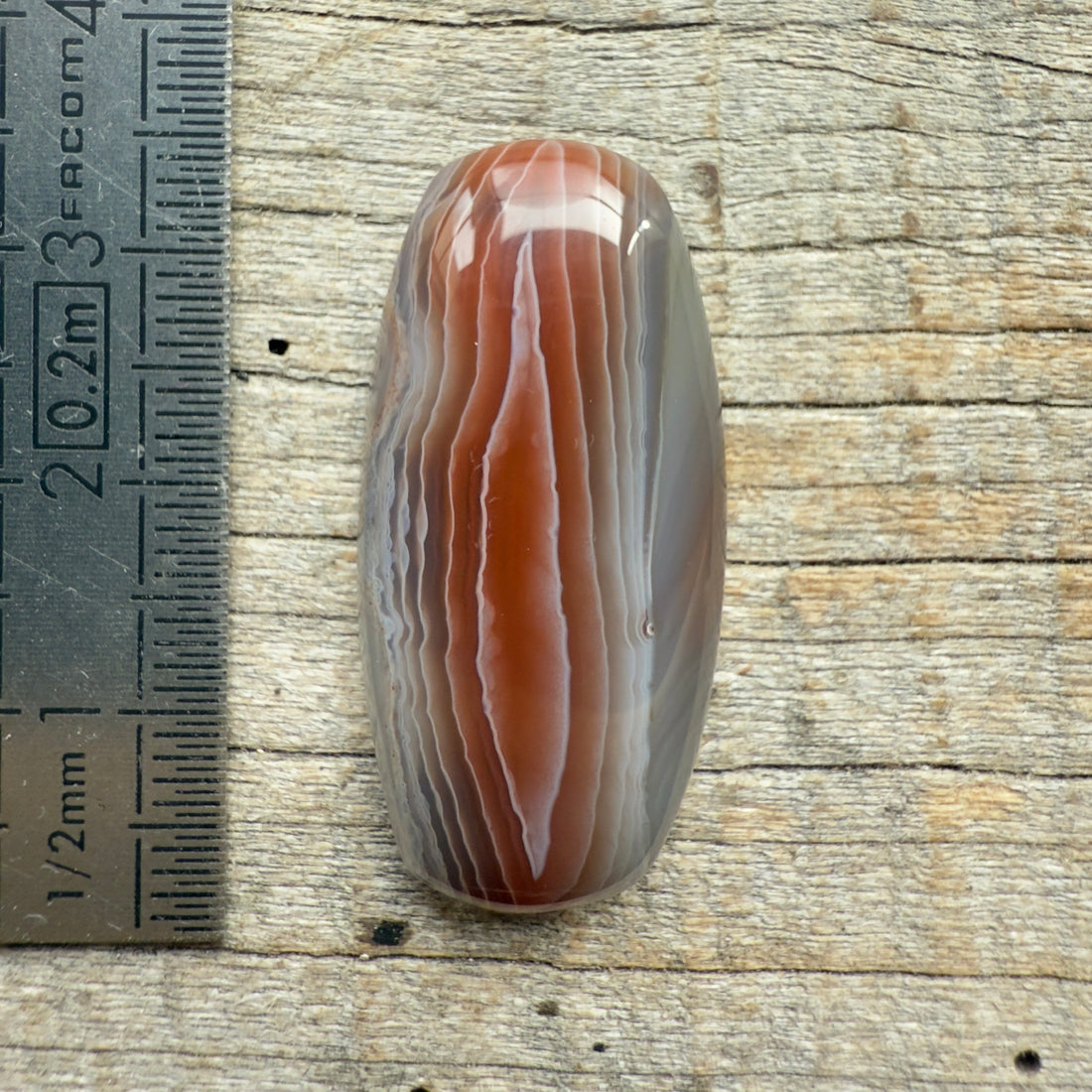 Cabochon Agate Botswana