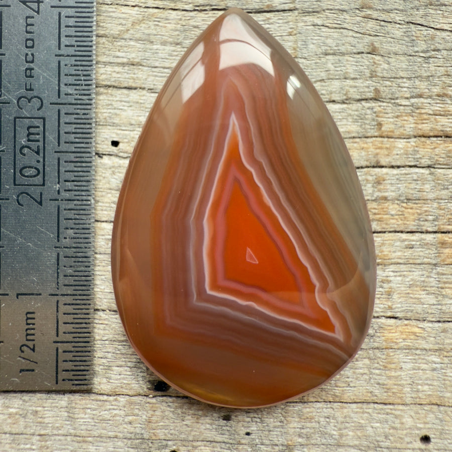 Cabochon Agate Botswana