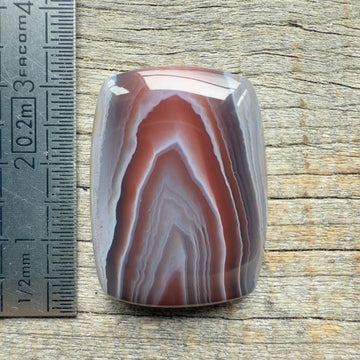 Cabochon Agate Botswana