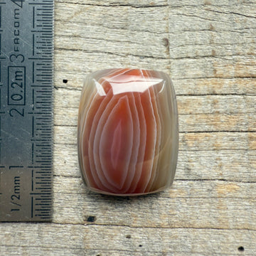 Cabochon Agate Botswana