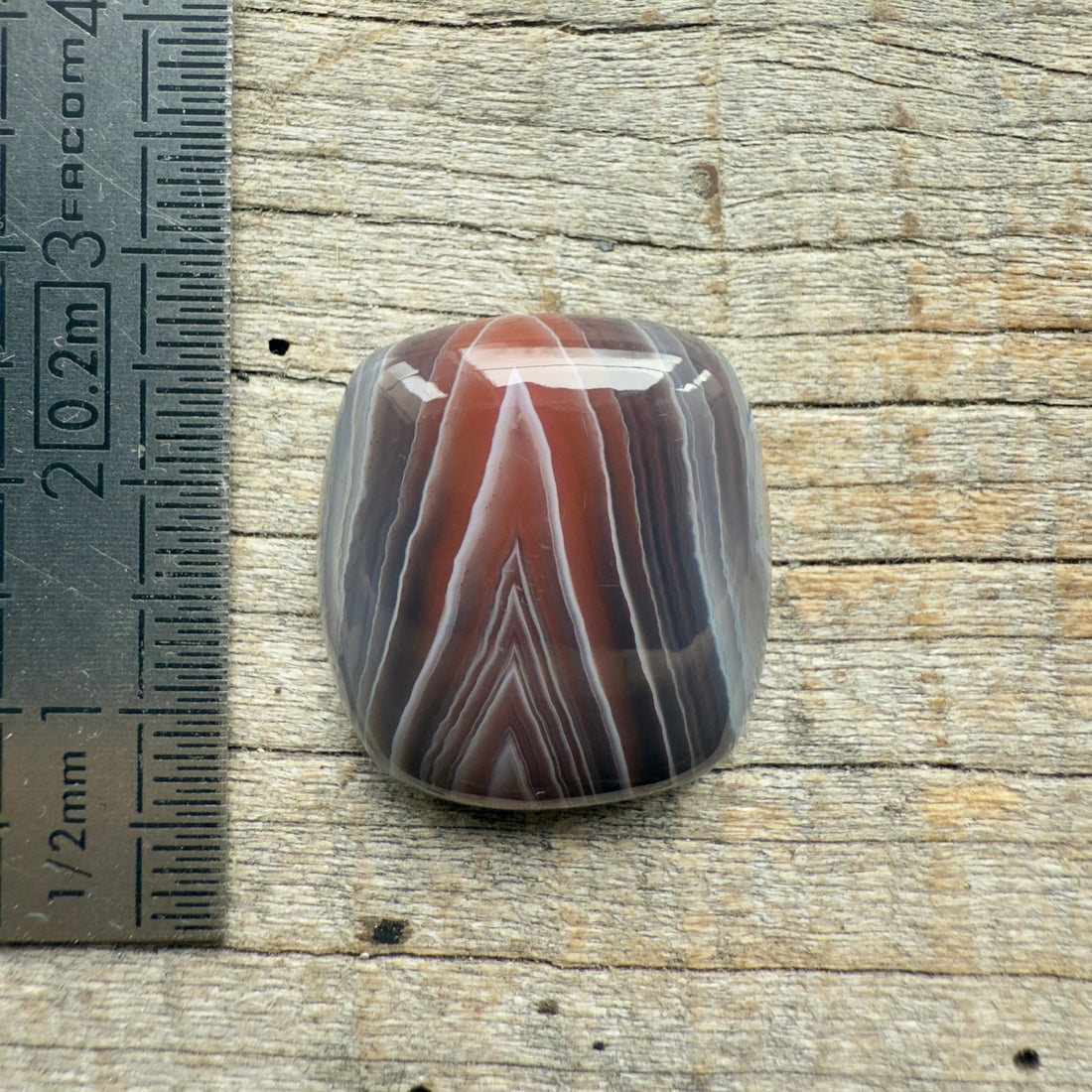 Cabochon Agate Botswana