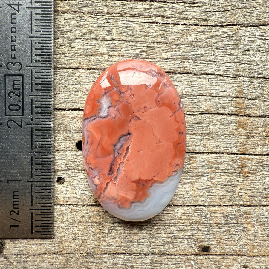 Cabochon Agate Candy Cotton