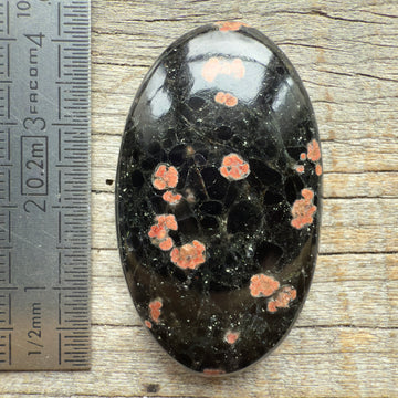 Cabochon Obsidienne Fleurie