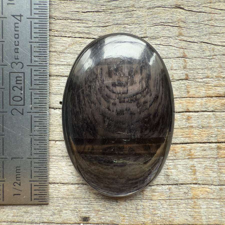 Cabochon Hypersthène