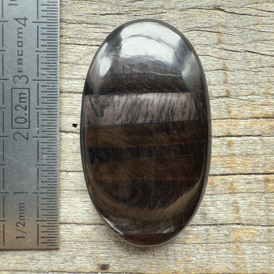 Cabochon Hypersthène