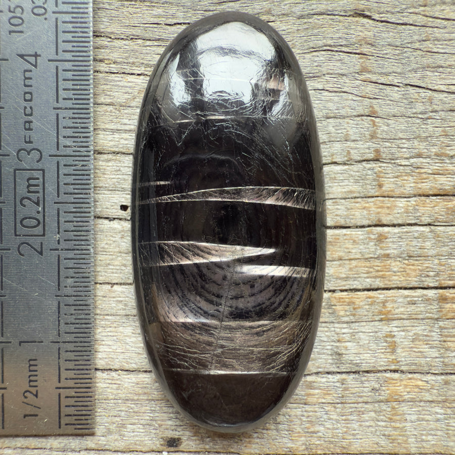 Cabochon Hypersthène