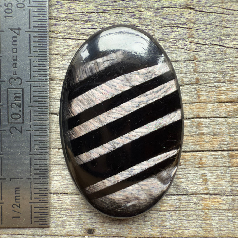 Cabochon Hypersthène